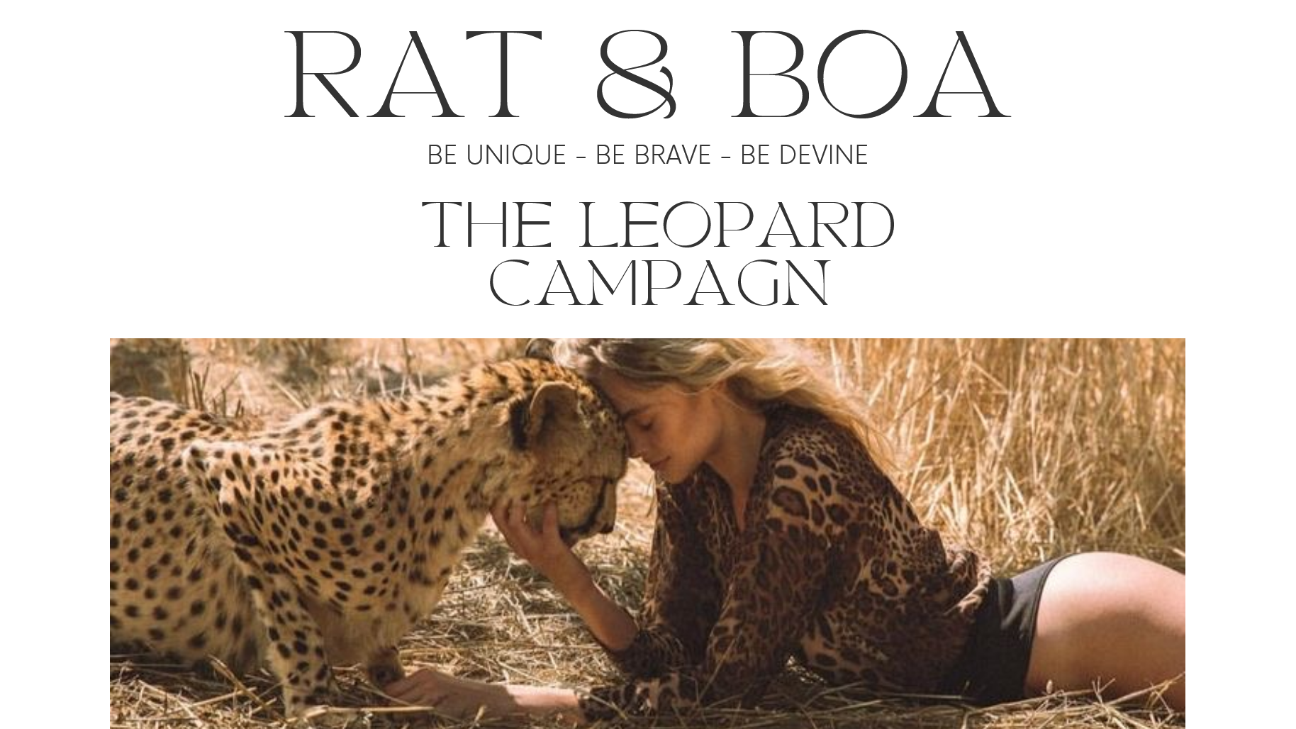 Cultural Influences Preview